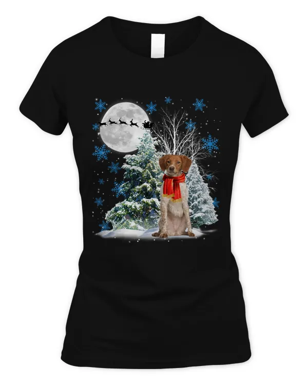 Women's Soft Style Fitted T-Shirt