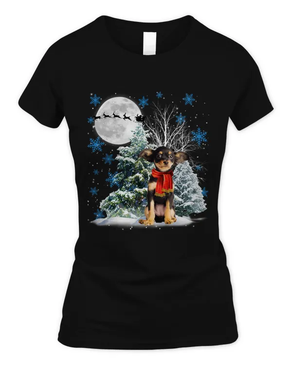 Women's Soft Style Fitted T-Shirt