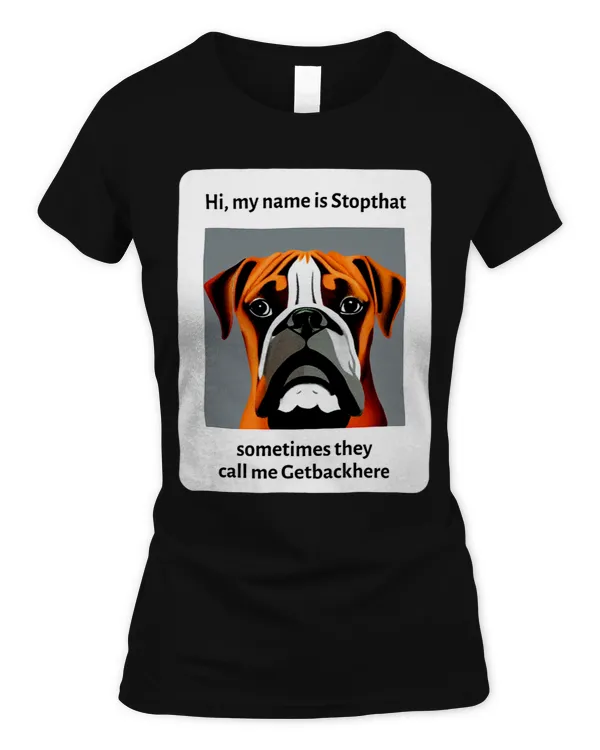 Women's Soft Style Fitted T-Shirt