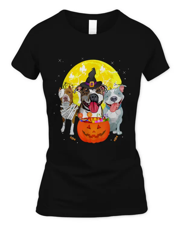 Women's Soft Style Fitted T-Shirt