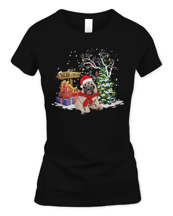 Women's Soft Style Fitted T-Shirt