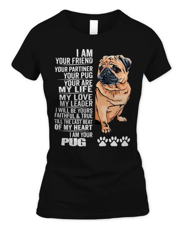 Women's Soft Style Fitted T-Shirt