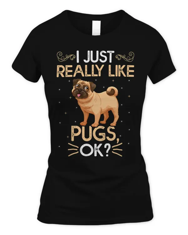 Women's Soft Style Fitted T-Shirt