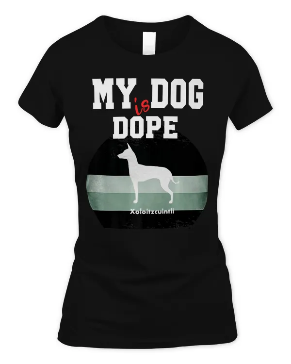 Women's Soft Style Fitted T-Shirt
