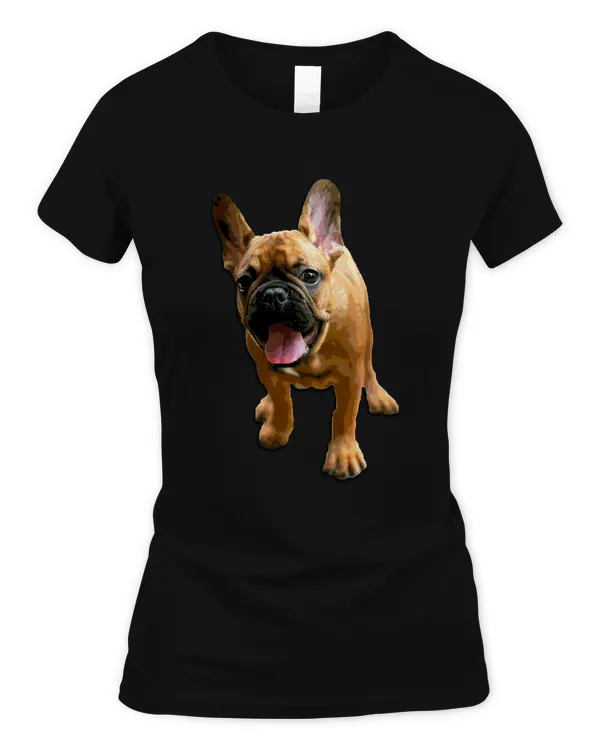 Women's Soft Style Fitted T-Shirt