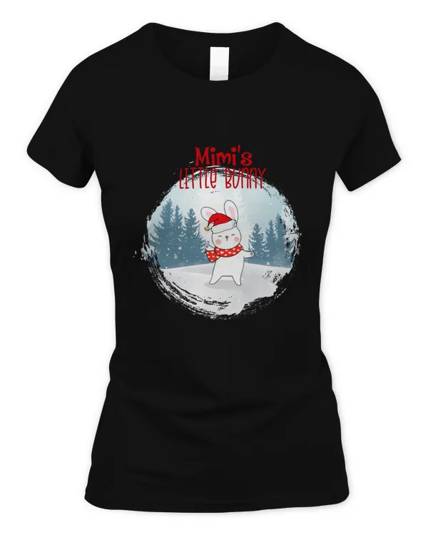 Women's Soft Style Fitted T-Shirt