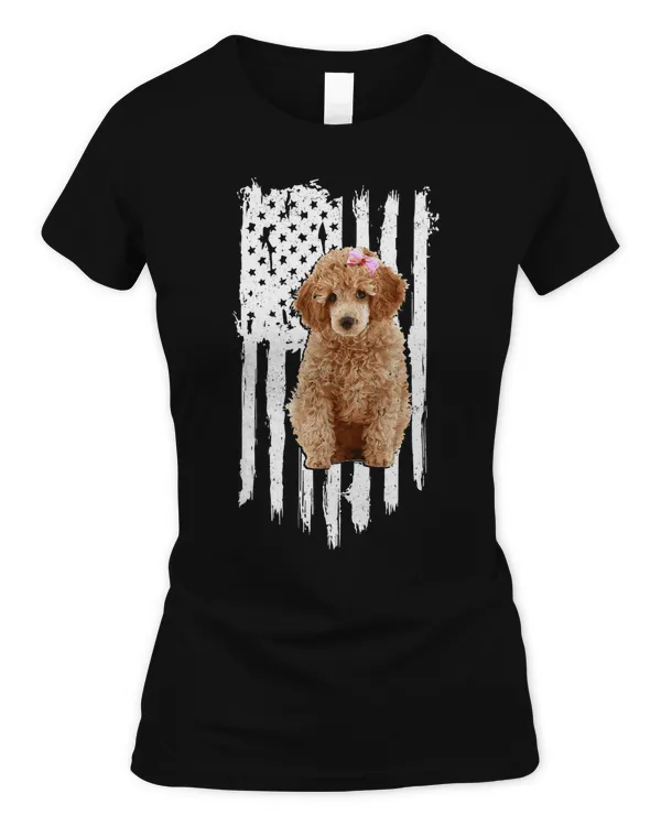Women's Soft Style Fitted T-Shirt
