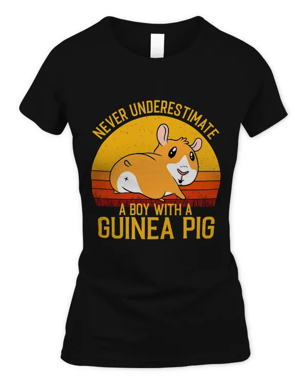 Women's Soft Style Fitted T-Shirt
