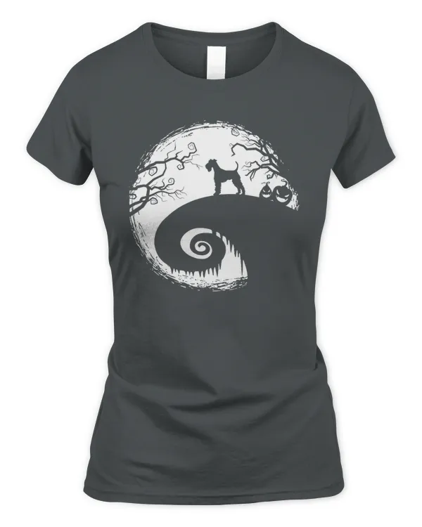 Women's Soft Style Fitted T-Shirt