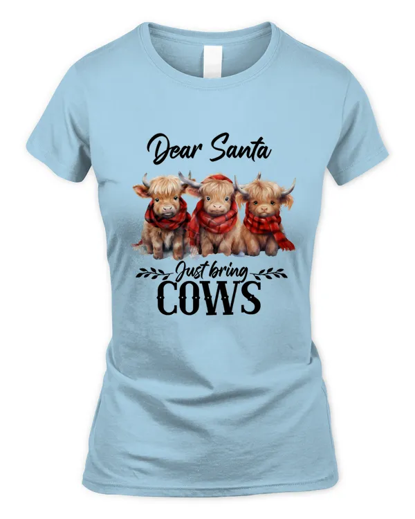 Women's Soft Style Fitted T-Shirt