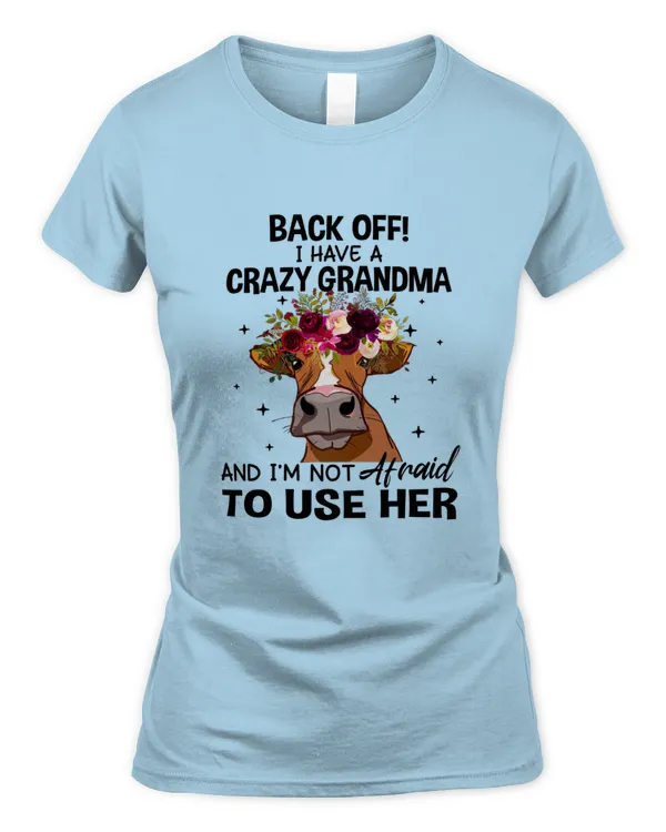 Women's Soft Style Fitted T-Shirt