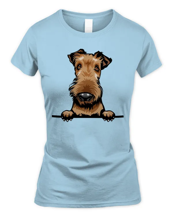 Women's Soft Style Fitted T-Shirt