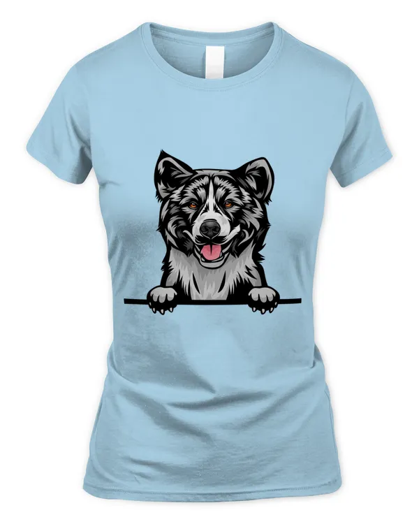 Women's Soft Style Fitted T-Shirt