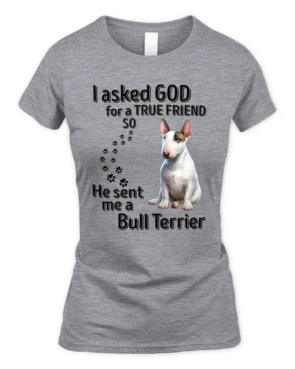 Women's Soft Style Fitted T-Shirt