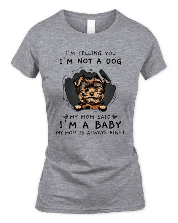 Women's Soft Style Fitted T-Shirt