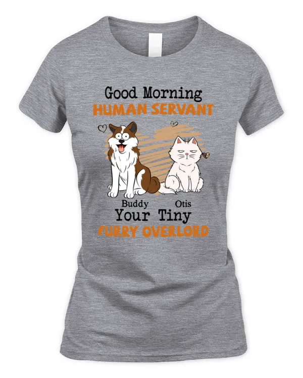 Women's Soft Style Fitted T-Shirt