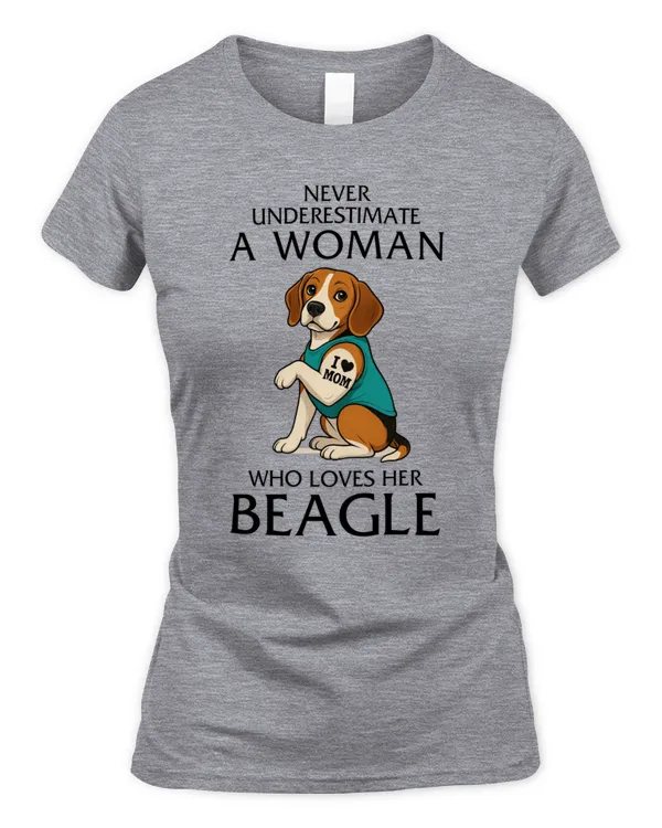 Women's Soft Style Fitted T-Shirt