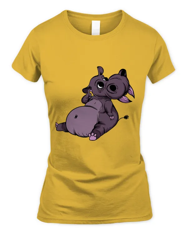 Women's Soft Style Fitted T-Shirt