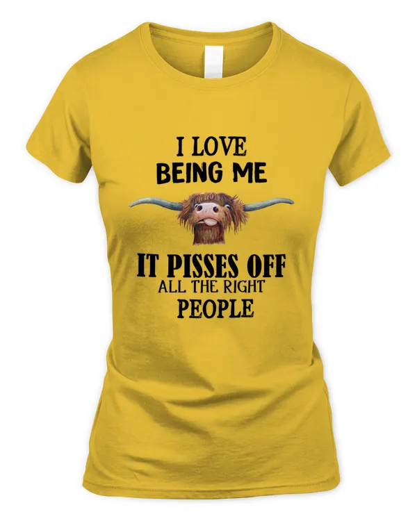 Women's Soft Style Fitted T-Shirt