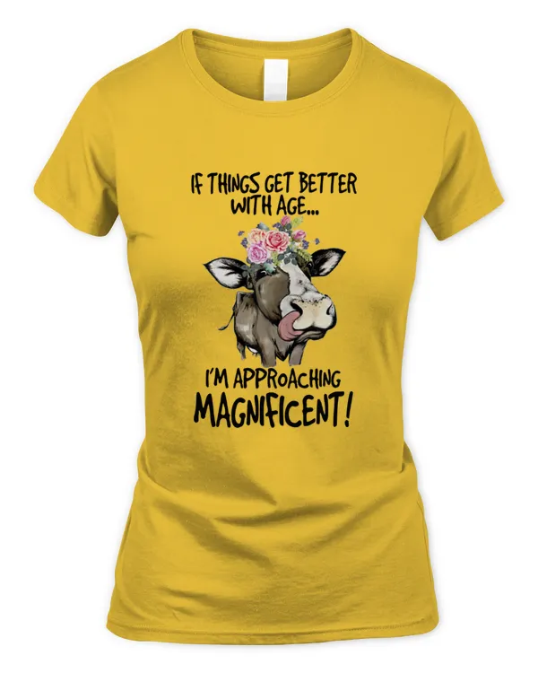 Women's Soft Style Fitted T-Shirt