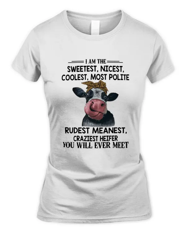 Women's Soft Style Fitted T-Shirt
