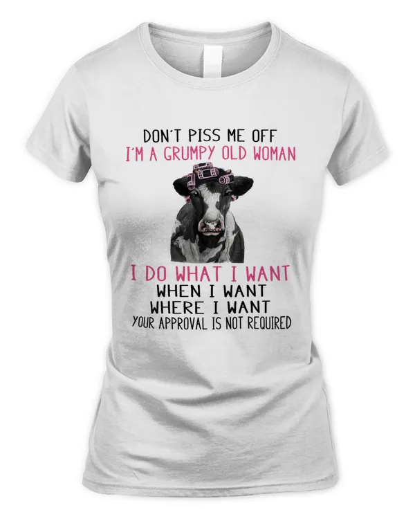 Women's Soft Style Fitted T-Shirt