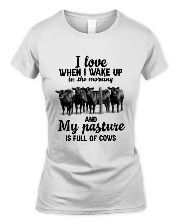 Women's Soft Style Fitted T-Shirt