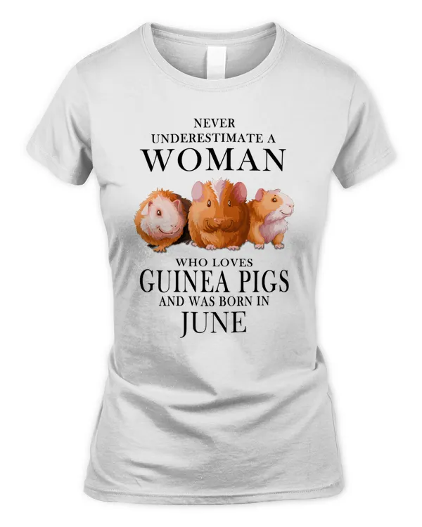 Women's Soft Style Fitted T-Shirt