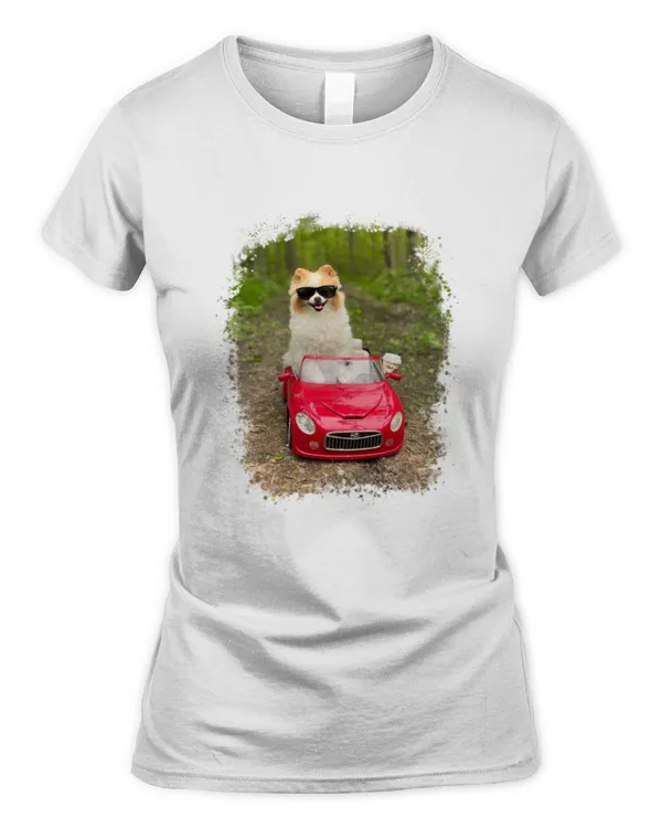 Women's Soft Style Fitted T-Shirt