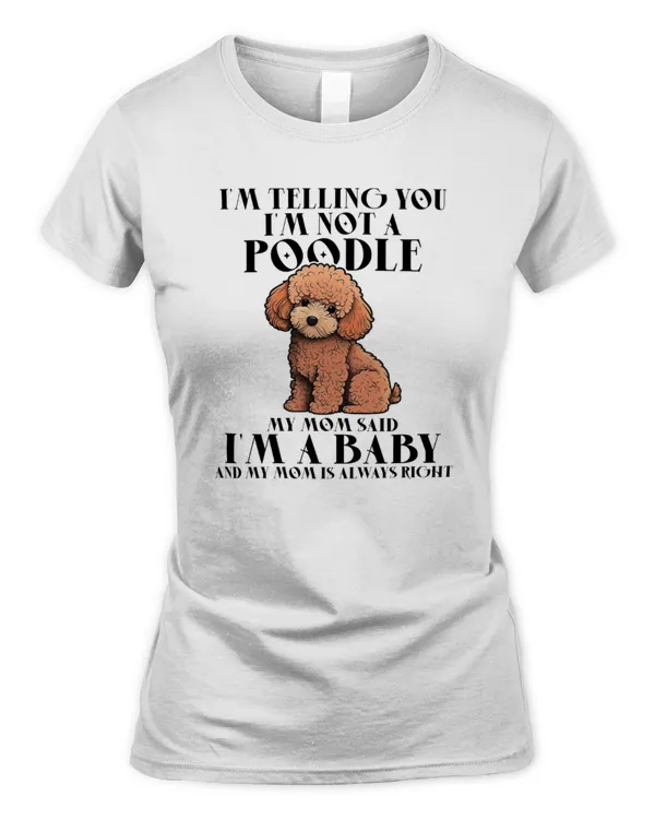 Women's Soft Style Fitted T-Shirt