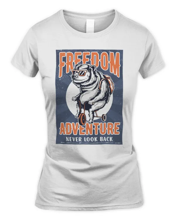 Women's Soft Style Fitted T-Shirt