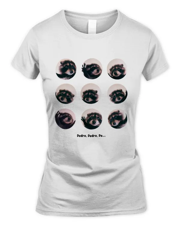 Women's Soft Style Fitted T-Shirt
