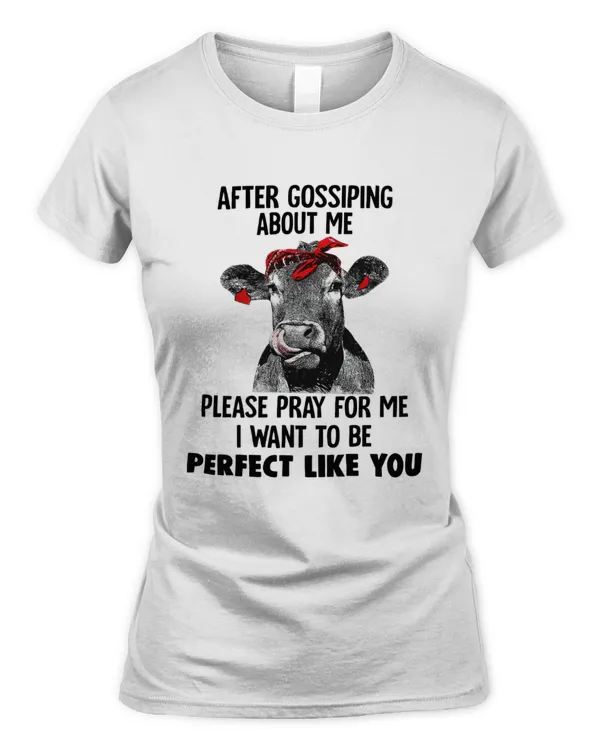 Women's Soft Style Fitted T-Shirt