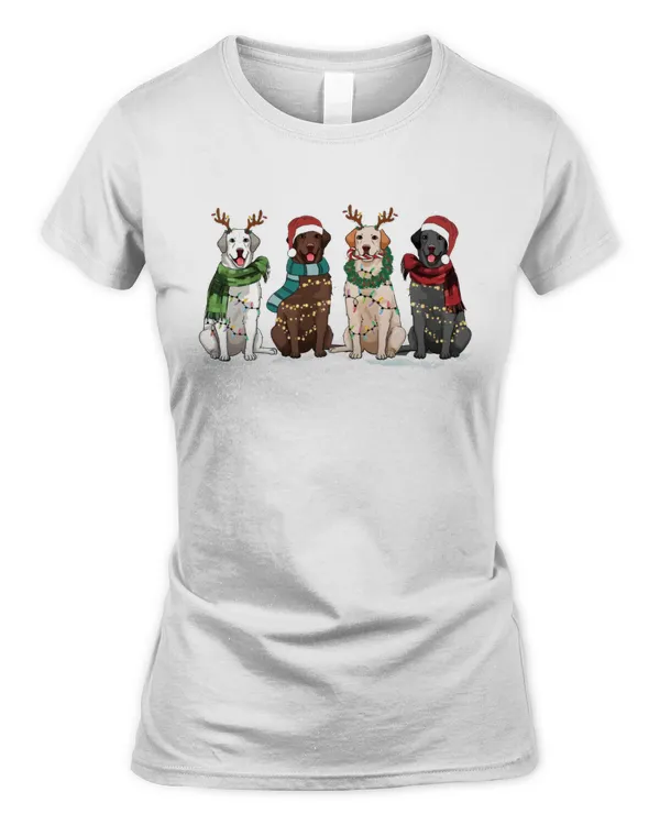 Women's Soft Style Fitted T-Shirt