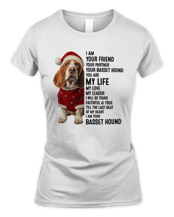 Women's Soft Style Fitted T-Shirt
