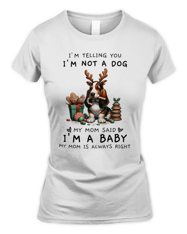 Women's Soft Style Fitted T-Shirt