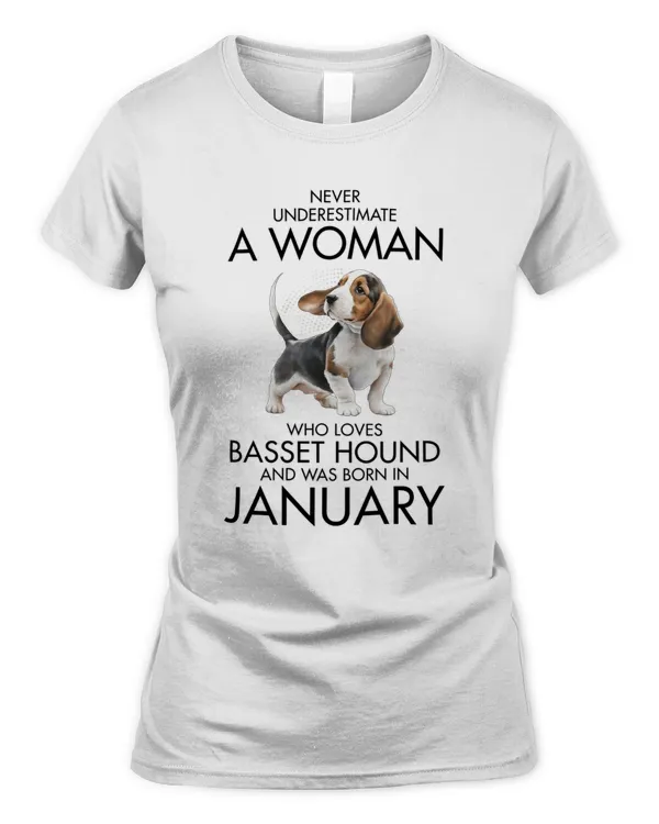 Women's Soft Style Fitted T-Shirt