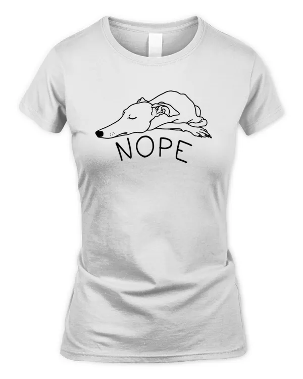 Women's Soft Style Fitted T-Shirt