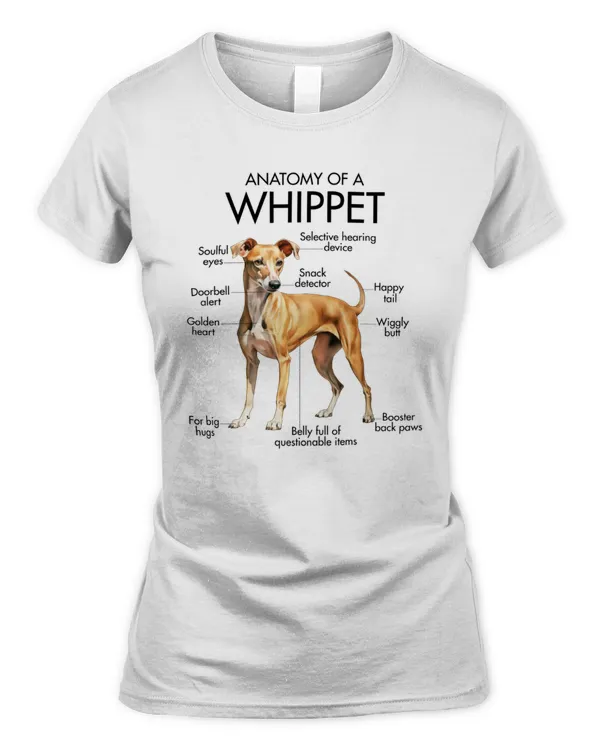 Women's Soft Style Fitted T-Shirt
