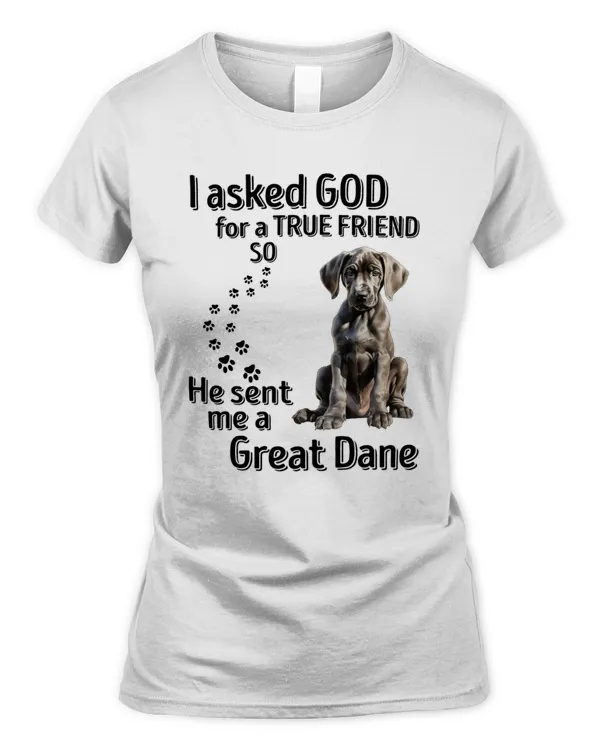 Women's Soft Style Fitted T-Shirt