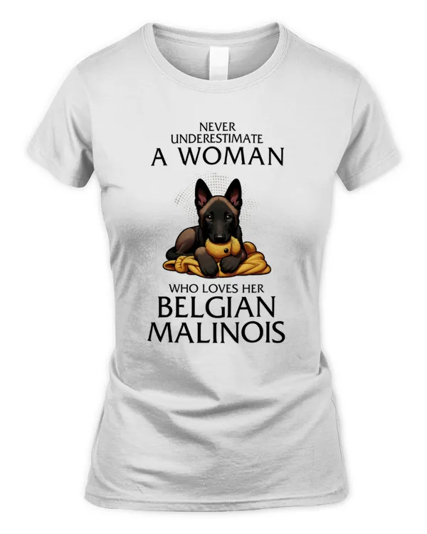Women's Soft Style Fitted T-Shirt