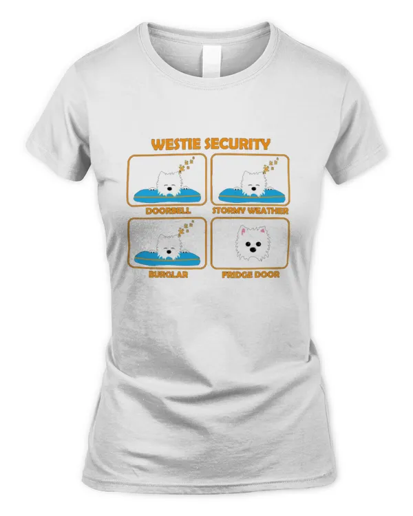 Women's Soft Style Fitted T-Shirt