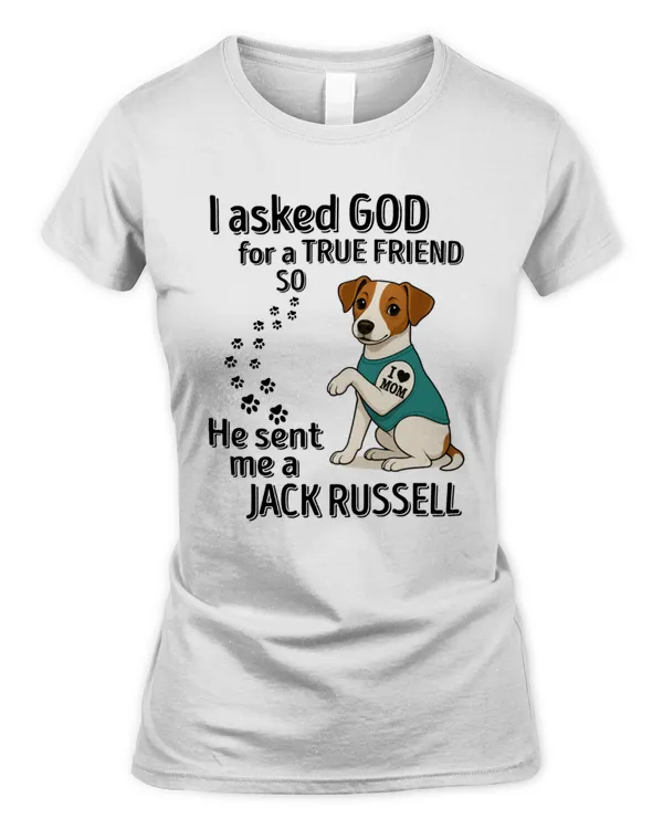 Women's Soft Style Fitted T-Shirt