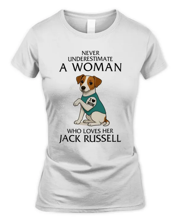 Women's Soft Style Fitted T-Shirt