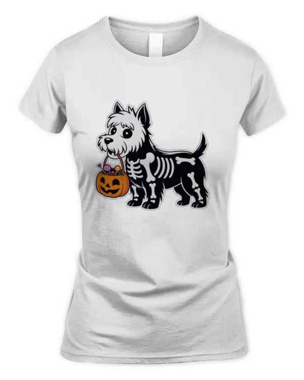 Women's Soft Style Fitted T-Shirt