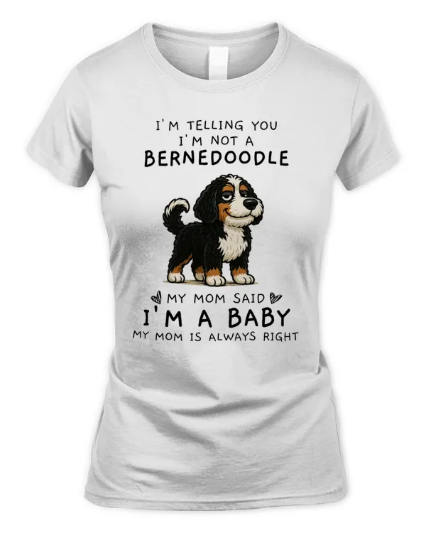 Women's Soft Style Fitted T-Shirt