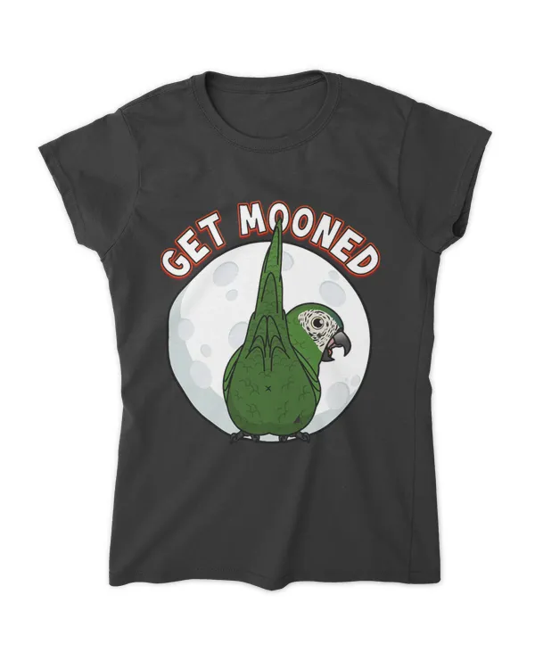 Women's Soft Style Fitted T-Shirt