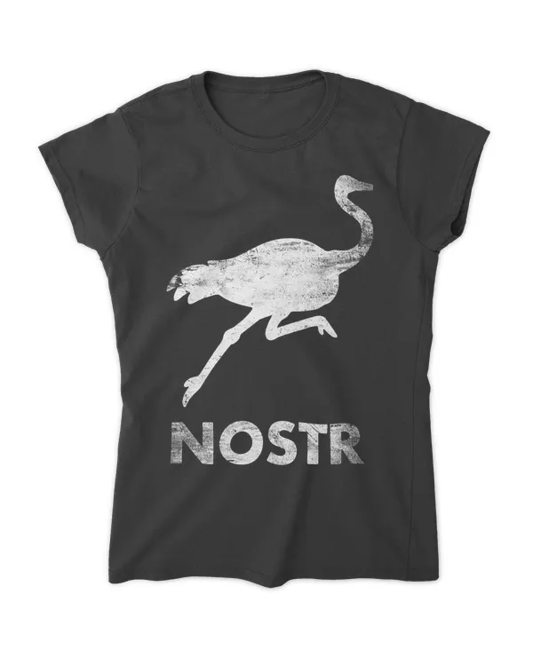 Women's Soft Style Fitted T-Shirt