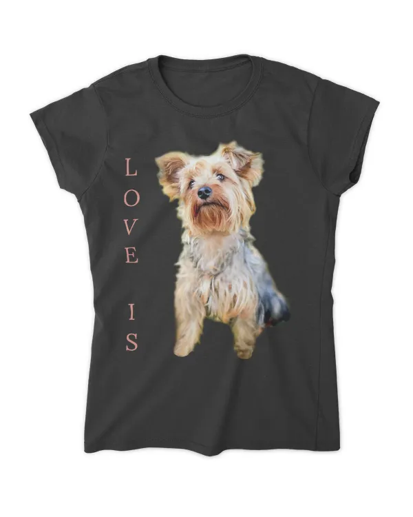 Women's Soft Style Fitted T-Shirt