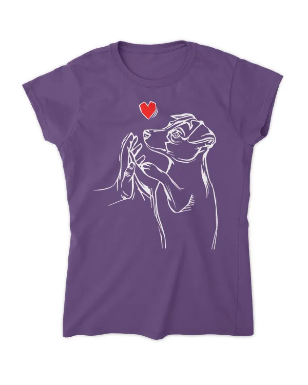 Women's Soft Style Fitted T-Shirt
